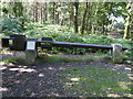 Remains of the White Mill in Sullington Warren