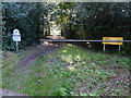 Path into Sullington Warren from Water Lane