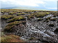 SD9080 : Peat Bog on Yockenthwaite Moor by John H Darch