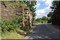 Old Rail bridge