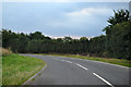 North Devon : Country Road