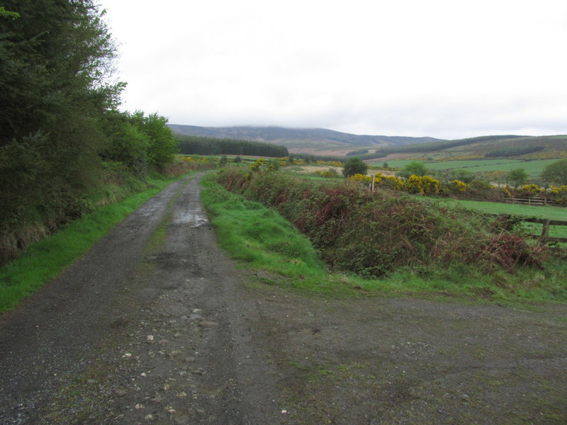 The Wicklow Way leading up towards... © Colin Park :: Geograph Britain ...