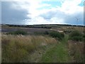 Site of Former Grimethorpe Colliery