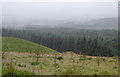 SN7353 : Ceredigion forest and moorland near Llanddewi-Brefi by Roger  D Kidd