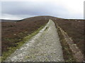 O0410 : Path leading up Black Hill from Ballynultagh Gap by Colin Park