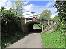 N6710 : A very low bridge at Oghill near Monasterevin by Colin Park