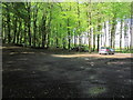 N4777 : Car Park at Mullaghmeen Forest Walks, Co Westmeath by Colin Park