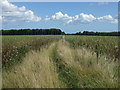 Footpath to Ludborough