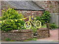 The yellow bikes of Langwathby (8)