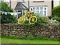 The yellow bikes of Langwathby (12)