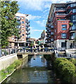 Hogsmill River in Kingston-upon-Thames