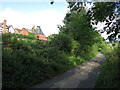 Lane past Upper Town End Farm