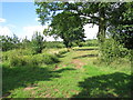 Field near Catley Court Farm