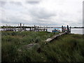 Abandoned Jetties at Skippool