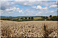 Crop field near Broom Farm