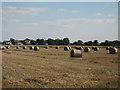 Bales of Straw, Plex Moss Lane