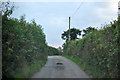 North Devon : Country Lane