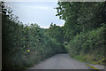 North Devon : Country Lane