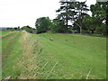 Former Hereford & Gloucester Canal by Monksbury Court