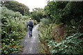 Coastal Path towards Culver Down