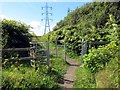 Llwybr y Morfa Path