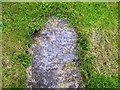 Red Roses Memorial Garden - gravestone 2