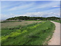 Clevedon - On coastal path S of Wain