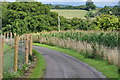 Taunton Deane District : Small Lane