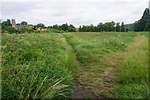SP0227 : Diverging paths near Winchcombe by Bill Boaden