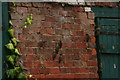 Sparrows on a wall in Howsham