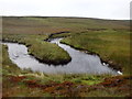 NY8221 : Meander, Connypot Beck by Michael Graham