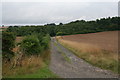 TA0807 : Clark's Plantation from Somerby Wold Lane by Chris