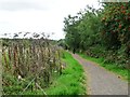 Cyclists on the former Midland Railway line