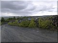 Heaps of waste material in Greystone Quarry