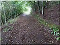 Footpath through nature reserve, Greystone Quarry