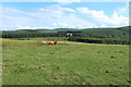 Farmland at Crawfordjohn