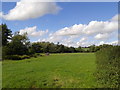 Field with a heap of wood, probably for a bonfire