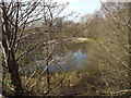 Pool by the dismantled railway, Brownhills West