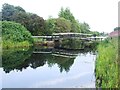 NS4771 : Footbridge over the Forth & Clyde Canal by Tim Glover