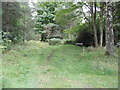 Woodland path at Fetterdale