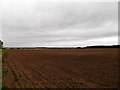 Field at Shanwell Farm