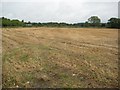 SO8742 : Stubble field near Dunstall Bridge by Philip Halling