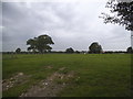 Field opposite Highwood Hall Farm