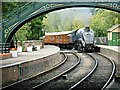 SE7984 : North Yorkshire Moors Railway, Pickering Station by Bill Henderson