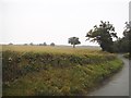 Field by Potterscrouch Lane