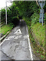 SN6878 : Single track road climbing from Aberffrwd level crossing by John Lucas
