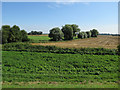 West Row Fen