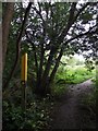 Footpath from Quorn to Woodthorpe