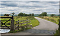 The track to Lords and Little Monubent with guarding pheasant