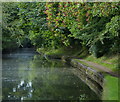 Grand Union Canal in South Yardley